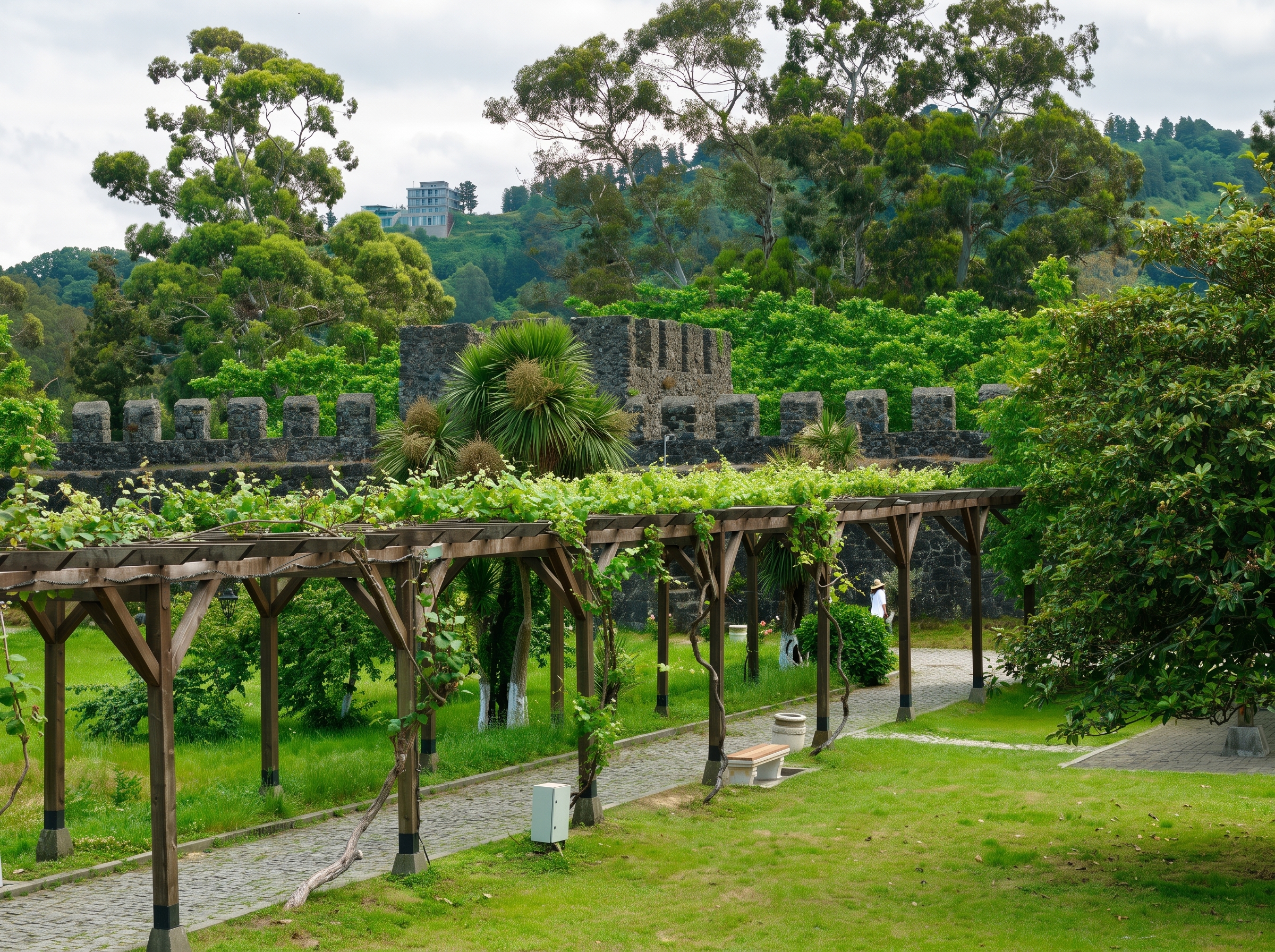 Vine-covered pergola walkway in a green park beside a historic stone fortress wall
